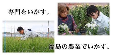 福島県の農業を支えていく農業職の職員を募集！ | 地域のトピックス