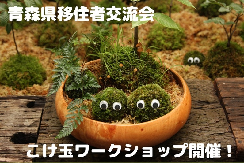 移住者交流会「こけ玉ワークショップ」 | 移住関連イベント情報