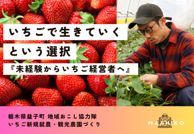 【益子町】『いちごで生きていくという選択』未経験からいちご経営者へ | 地域のトピックス