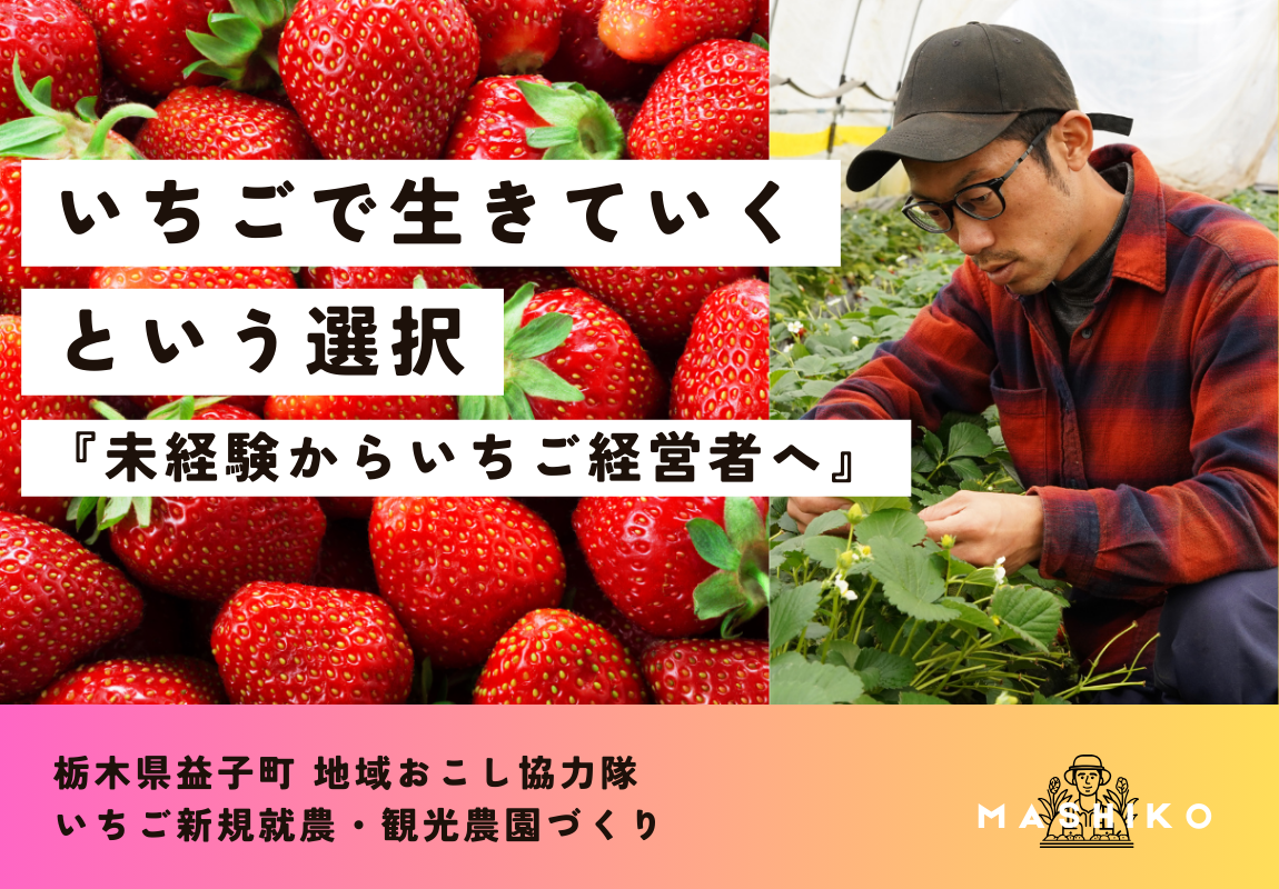 【益子町】『いちごで生きていくという選択』未経験からいちご経営者へ | 地域のトピックス
