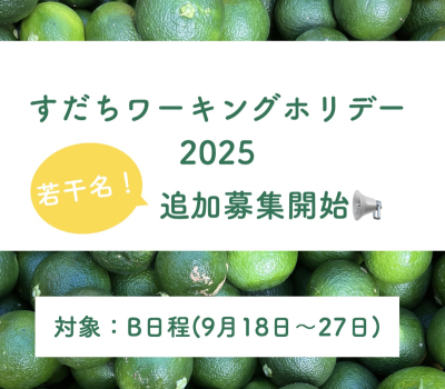 【追加募集】すだち収穫バイトをしながら、神山に滞在する「すだちワーキングホリデーin神山 | 地域のトピックス