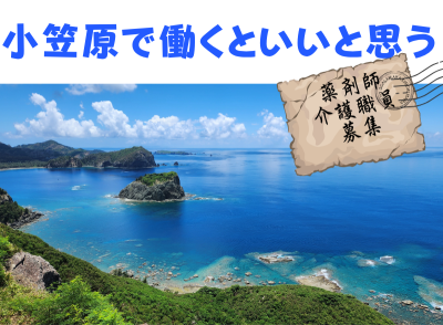 8/3更新【東京都】船で片道24時間！世界自然遺産の小笠原諸島で働いてみませんか？ | 地域のトピックス