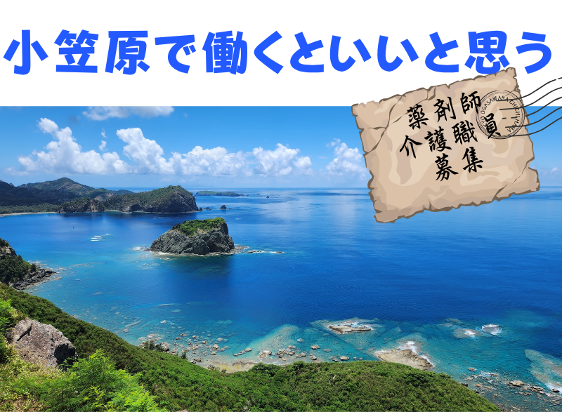 8/3更新【東京都】船で片道24時間!世界自然遺産の小笠原諸島で働いてみませんか? | 地域のトピックス