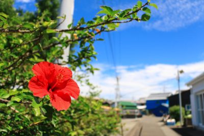 【移住促進・まちの魅力発信業務】牟岐町地域おこし協力隊募集 | 地域のトピックス