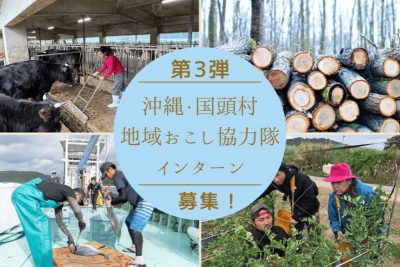 第3弾国頭村地域おこし協力隊インターン募集 | 地域のトピックス