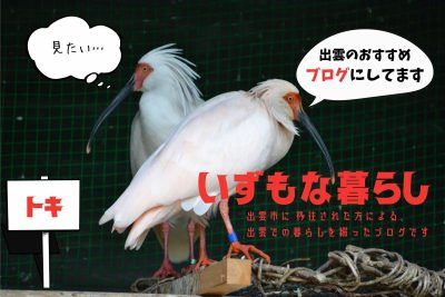 【島根県・出雲市】「いずもな暮らしブログ」を見てごさんかね！ | 地域のトピックス