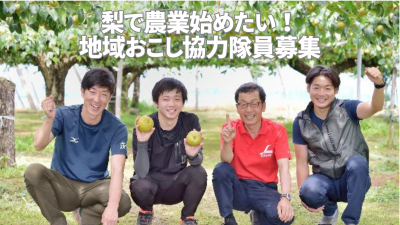 作り手の情熱が詰まった下妻の梨。魅力ある梨産地が就農希望の地域おこし協力隊員を募集◎ | 地域のトピックス