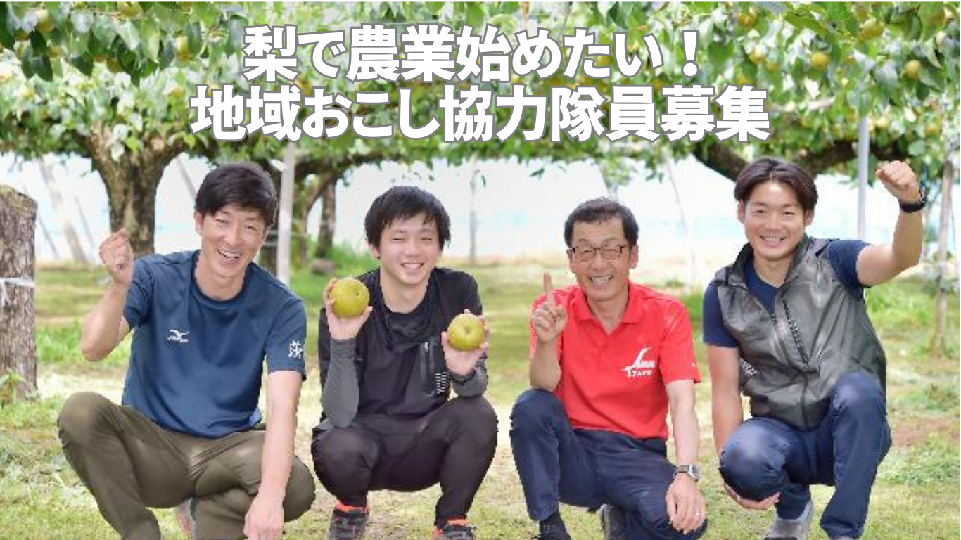 作り手の情熱が詰まった下妻の梨。魅力ある梨産地が就農希望の地域おこし協力隊員を募集◎ | 地域のトピックス