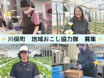 【福島県川俣町】2026年4月入隊・地域おこし協力隊！新規就農を目指すトルコギキョウの栽培！ | 地域のトピックス