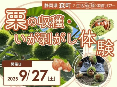 【静岡県森町】栗の収穫＆いが剝がし体験 | 移住関連イベント情報