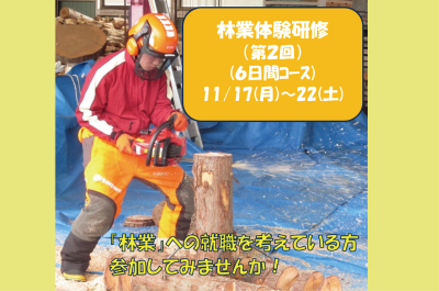 「令和７年度　第２回　島根県林業体験研修（６日間コース）」参加者募集 | 移住関連イベント情報