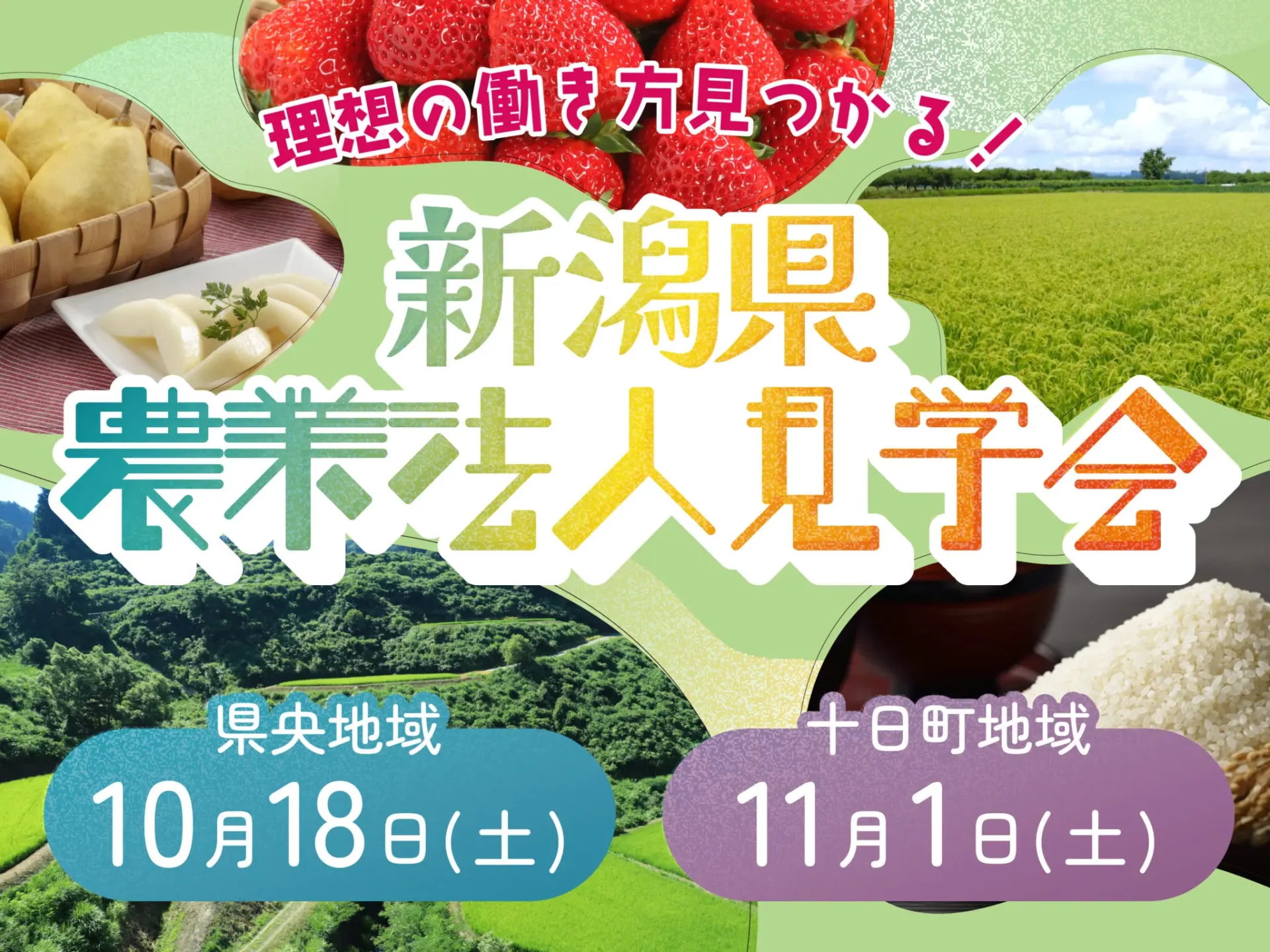 【農業法人見学会開催】新潟県内の農業法人を見学して自分にあった働き方を見つけよう！（10/18県央地域・11/1十日町地域） | 地域のトピックス