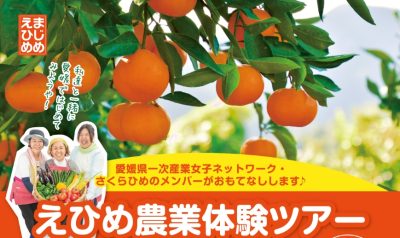 愛媛県 ｜1 ｜地域のトピックス｜FURUSATO(フルサト)