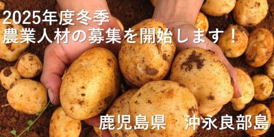 【沖永良部島】2025冬季 農業人材募集 | 地域のトピックス
