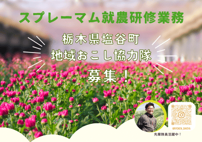 【塩谷町】地域おこし協力隊　スプレーマム就農研修 | 地域のトピックス