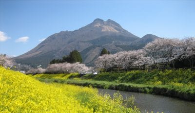 おんせん県おおいた　由布市の地域おこし協力隊募集！ | 地域のトピックス