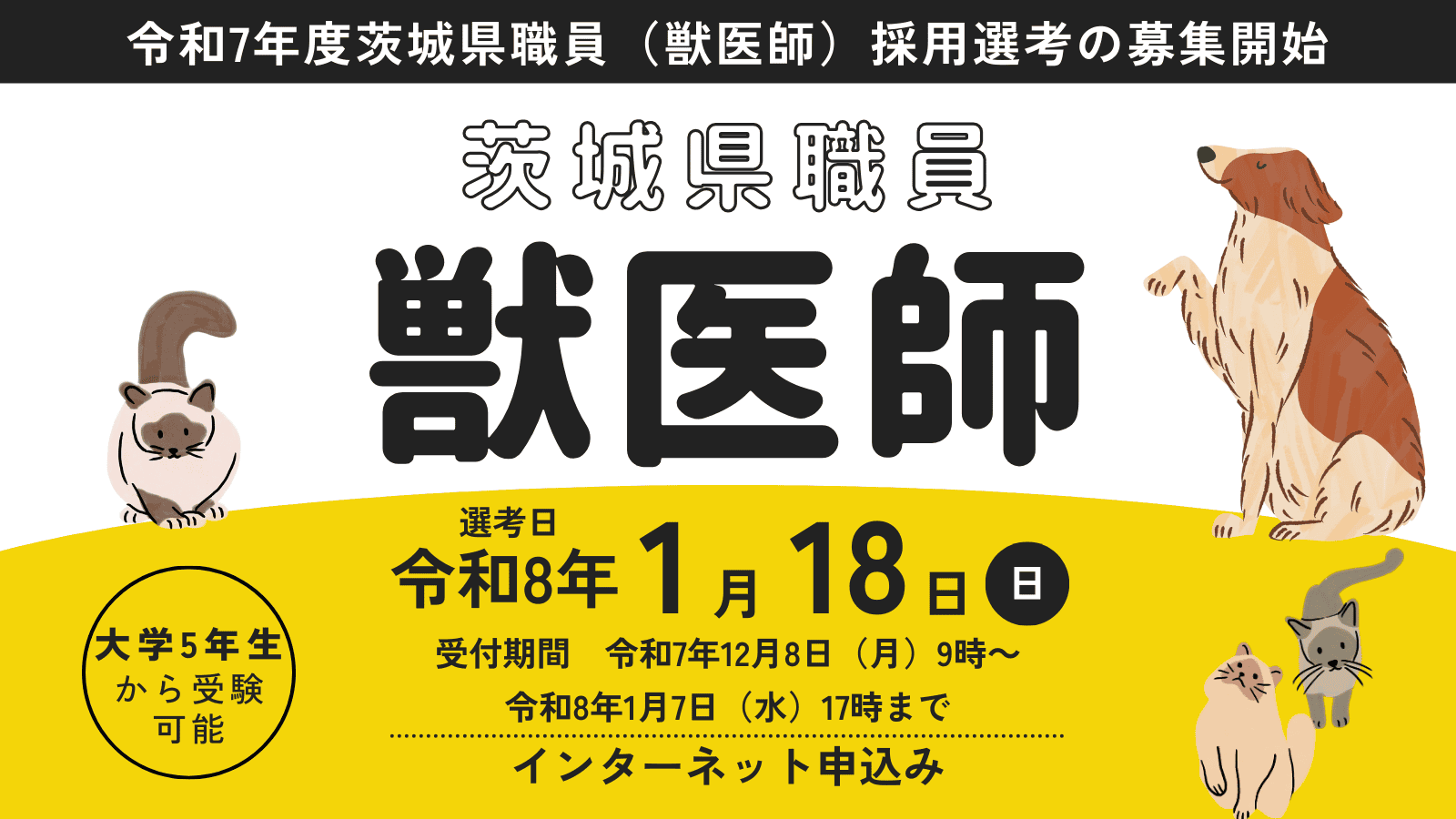 茨城県職員（獣医師）採用選考案内 | 地域のトピックス