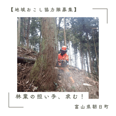 【富山県朝日町】「林業で地域おこししませんか？」地域おこし協力隊（林業振興）を募集します！ | 地域のトピックス
