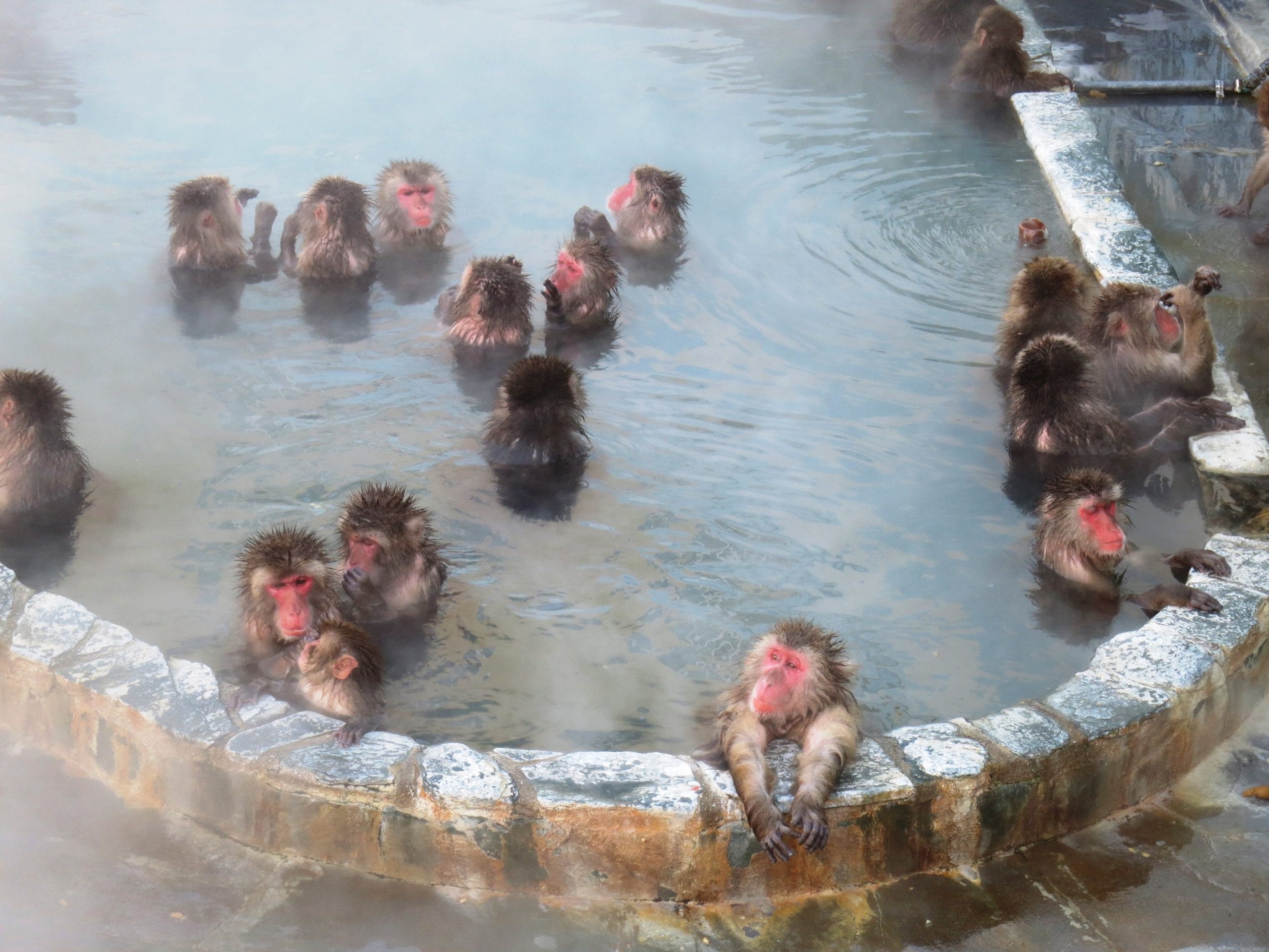77_Yunokawa_hot_spring-4-