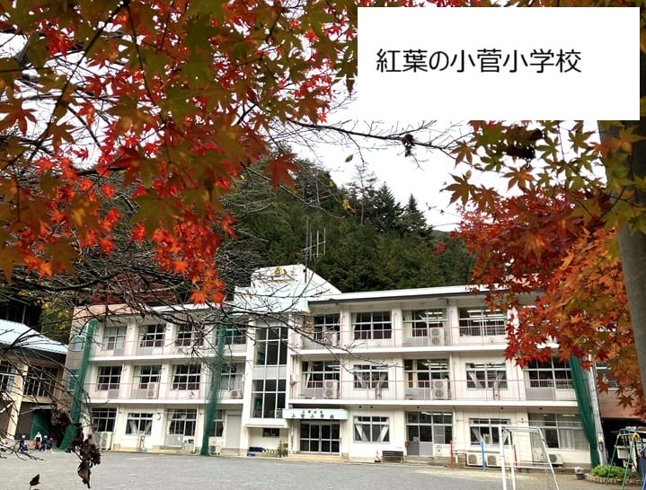 【山梨県】親子で移り住む～小菅村に行ってきました。 | 地域のトピックス