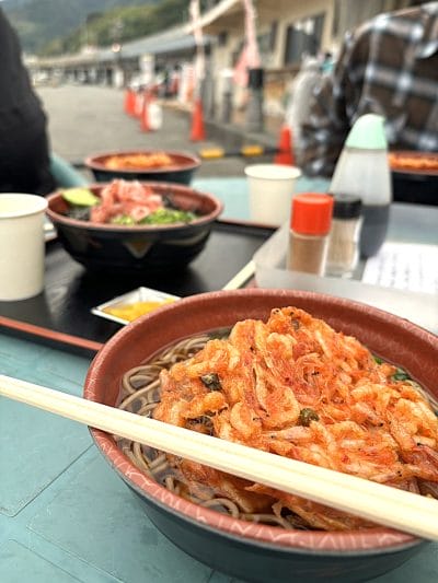 日本広しと言えど、サクラエビ漁は静岡だけ。 | 地域のトピックス