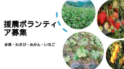 農業体験してみませんか？ | 地域のトピックス