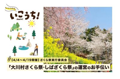 【高知県】さくら祭・しばざくら祭の運営のお手伝い募集！いこうち！ | 地域のトピックス