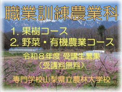 2/24締切【山梨県】職業訓練受講生募集～9か月果樹・有機農業を学ぼう～ | 地域のトピックス