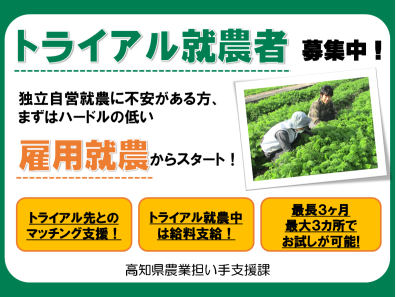 【高知県】トライアル就農者募集！まずは1～3ヶ月から！！ | 地域のトピックス