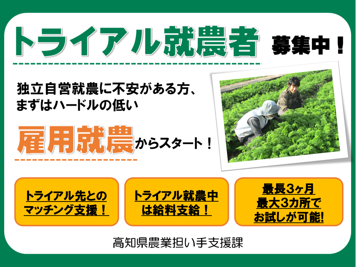 【高知県】トライアル就農者募集！まずは1～3ヶ月から！！ | 地域のトピックス
