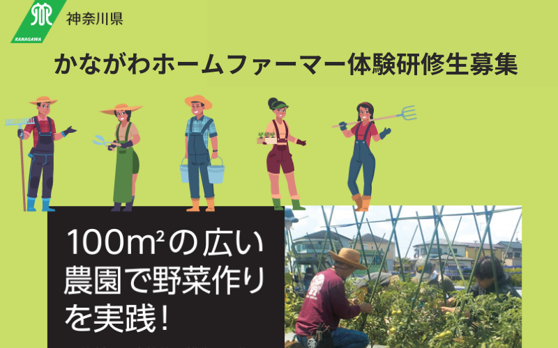 【体験研修生募集】農ある暮らし「かながわホームファーマー」100㎡の広い農園で野菜作り。人生は農と共に。 | 地域のトピックス