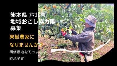 芦北町　地域おこし協力隊募集【果樹農家就農 1名】 | 地域のトピックス