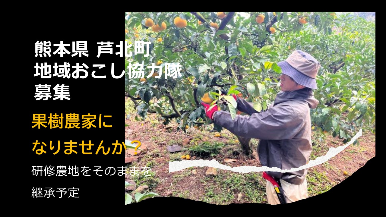 芦北町　地域おこし協力隊募集【果樹農家就農 1名】 | 地域のトピックス