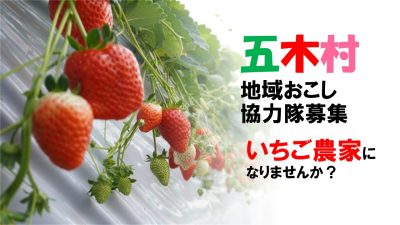 熊本県 五木村 地域おこし協力隊募集【いちご新規就農 2名程度】 | 地域のトピックス