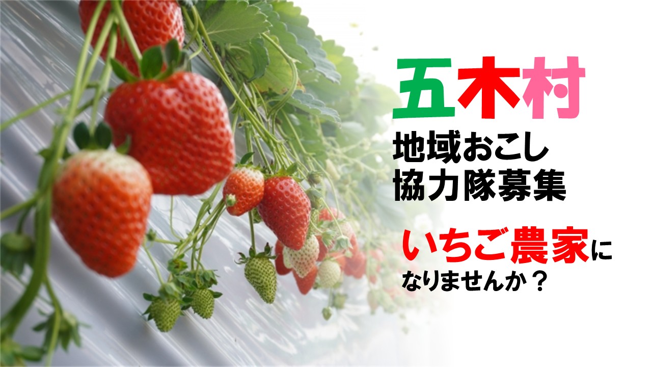 ee460fd9488a2550513cd8a8e05876
