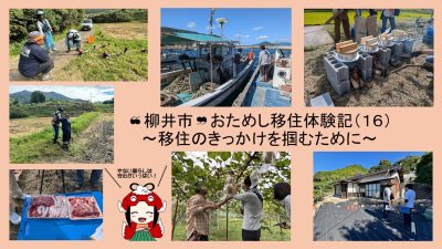 【柳井市】おためし移住体験記（１６）～移住のきっかけを掴むために～ | 地域のトピックス