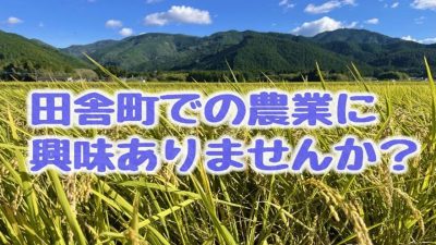 湯前町 地域おこし協力隊募集【農業 1名】 | 地域のトピックス
