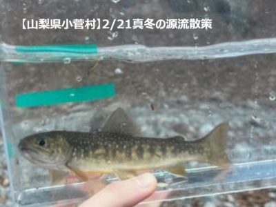 【山梨県小菅村】2/21真冬の源流散策 ～川のつながりを触って食べて知る | 地域のトピックス