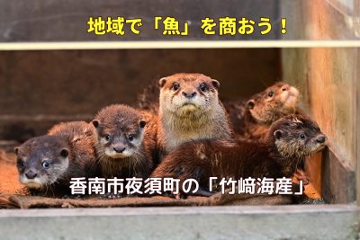 【高知県】動物園への納品もある地元密着の海産物業者を引き継ぐ！ | 地域のトピックス