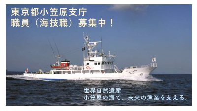 【小笠原ではたらきませんか？】職員募集！ | 地域のトピックス