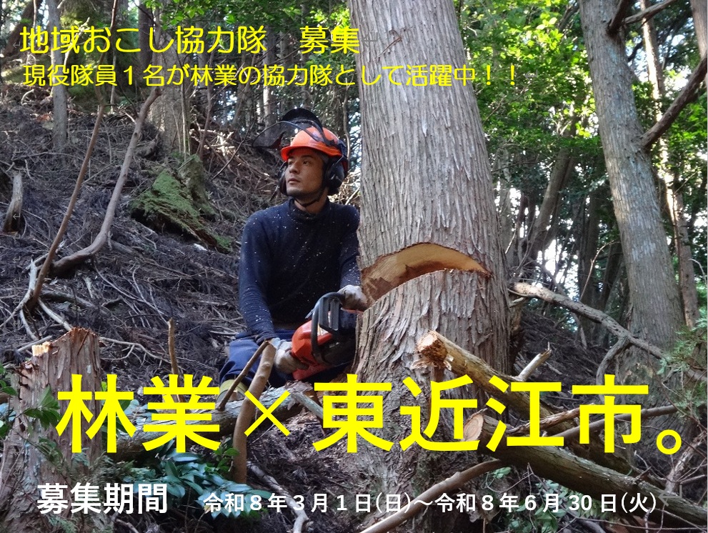地域おこし協力隊募集中　林業×東近江市 | 地域のトピックス