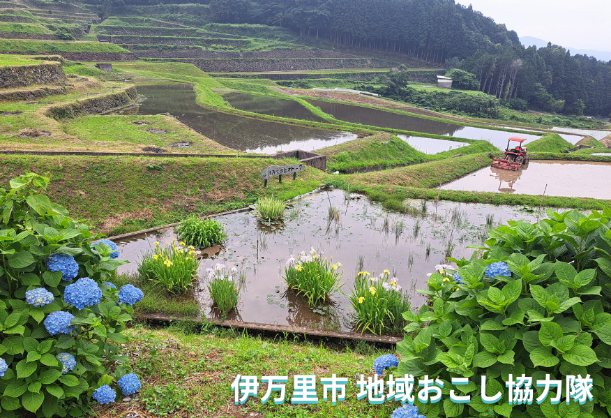 伊万里市（いまりし）】美しい棚田が広がる里山で、環境保全活動や農業