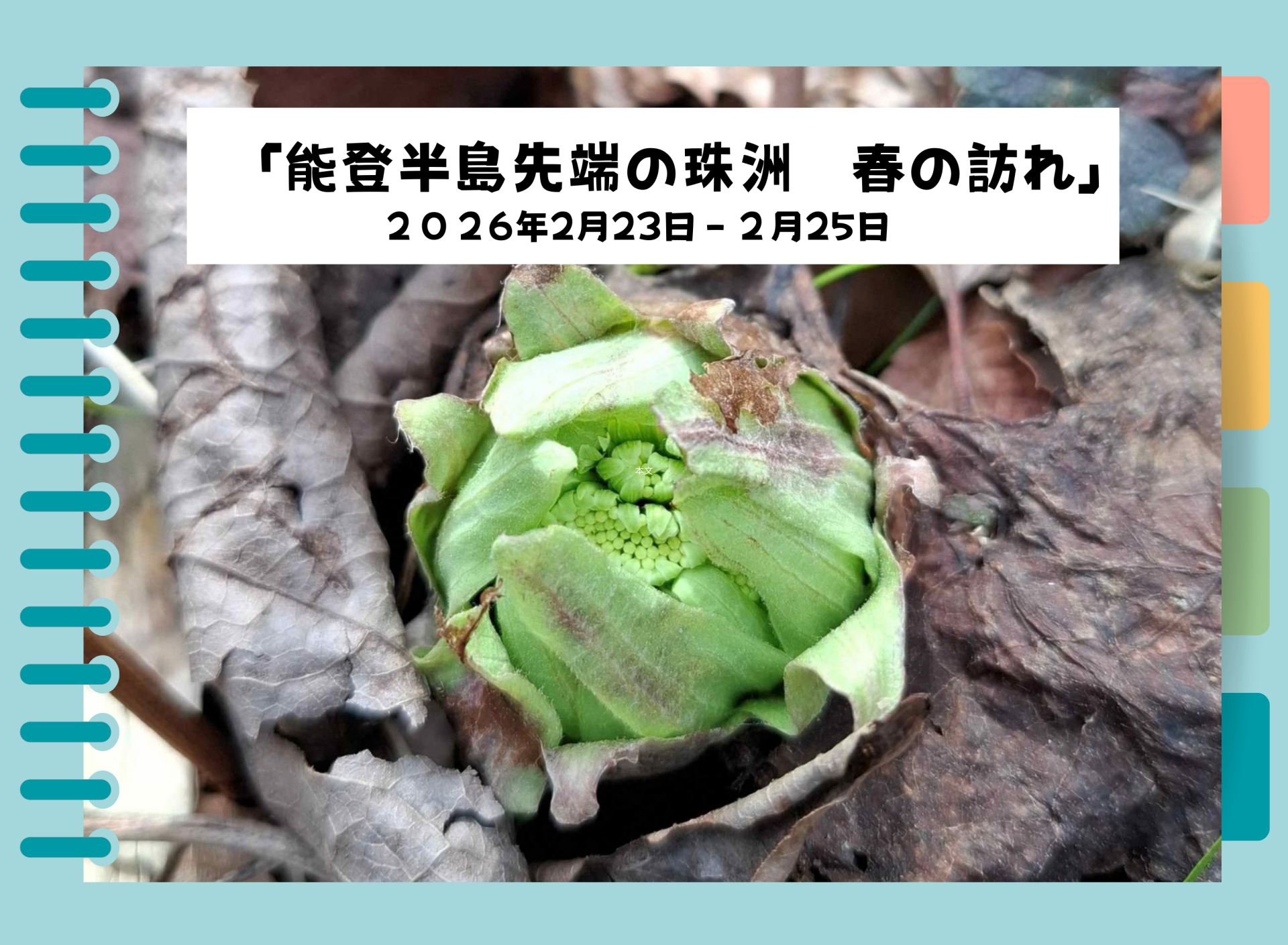 能登半島先端の珠洲　春の訪れ　2026.2.26～28《石川県相談員レポート》 | 地域のトピックス