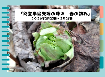能登半島先端の珠洲　春の訪れ　2026.2.26～28《石川県相談員レポート》 | 地域のトピックス