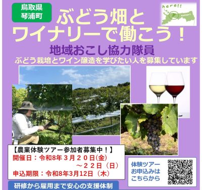 【鳥取県琴浦町】ぶどう栽培農業体験ツアー参加⇒地域おこし協力隊になりませんか？ | 地域のトピックス