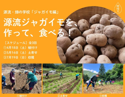 小菅村で農あるくらし～ジャガイモを作って食べる | 地域のトピックス