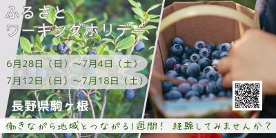 ブルーベリー収穫作業をしながら、駒ヶ根の暮らしの魅力を体感しよう・駒ヶ根市ワーキングホリデー | 移住関連イベント情報