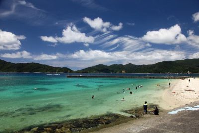 奄美大島の綺麗な海で海水浴場監視業務や集落支援をしていただける方を募集中！！！ | 地域のトピックス
