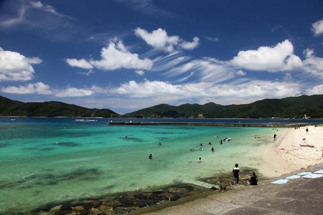 奄美大島の綺麗な海で海水浴場監視業務や集落支援をしていただける方を募集中！！！ | 地域のトピックス