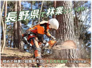 信州の森林で働こう | 移住関連イベント情報